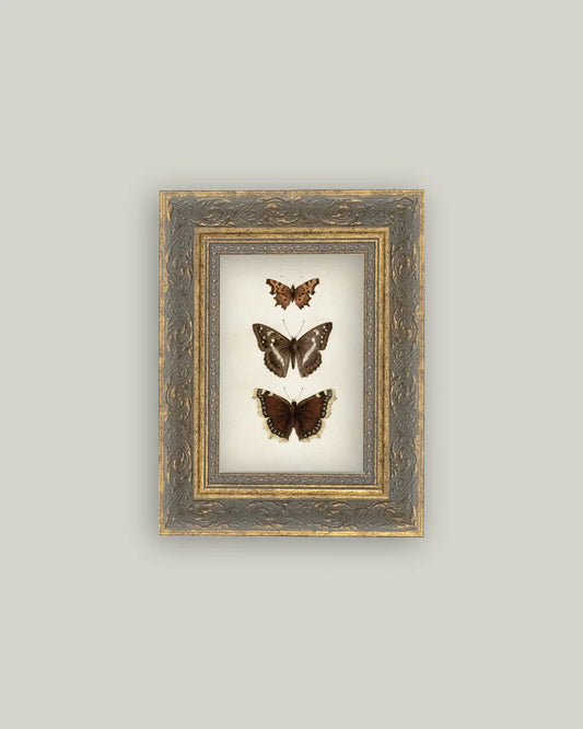 Three Butterflies Artwork
